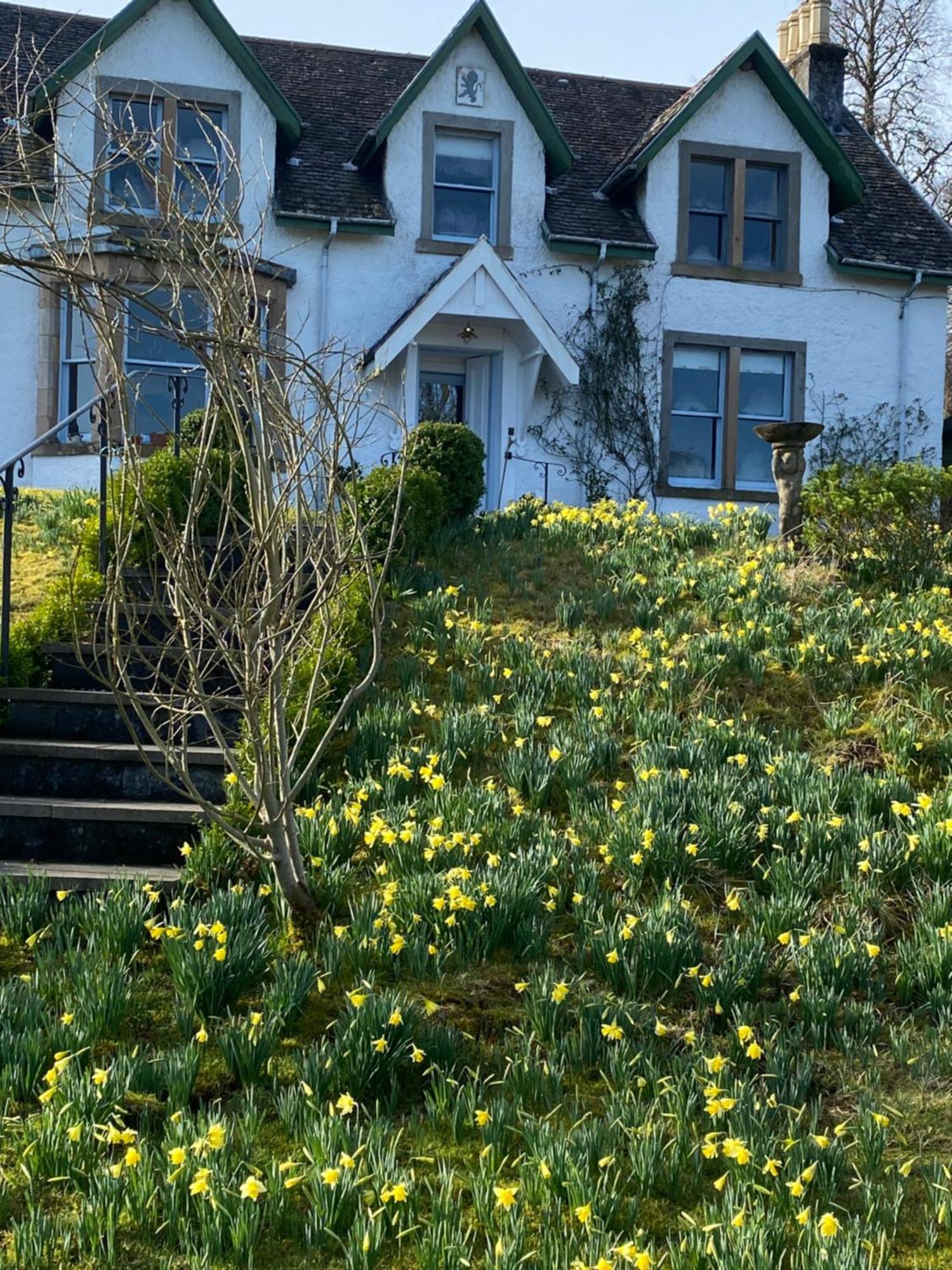 Glenaros Lodge Salen  Eksteriør billede